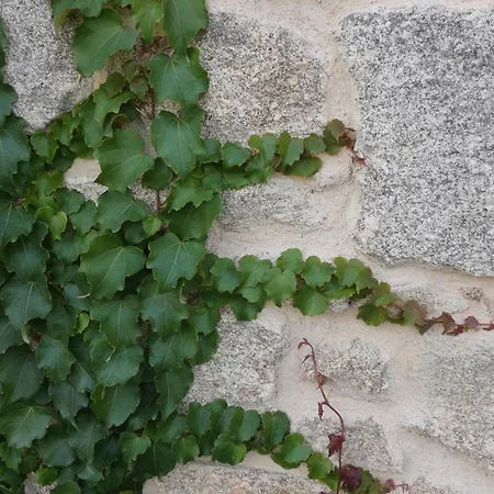 Hotel La Alcoba De Sayago 3*