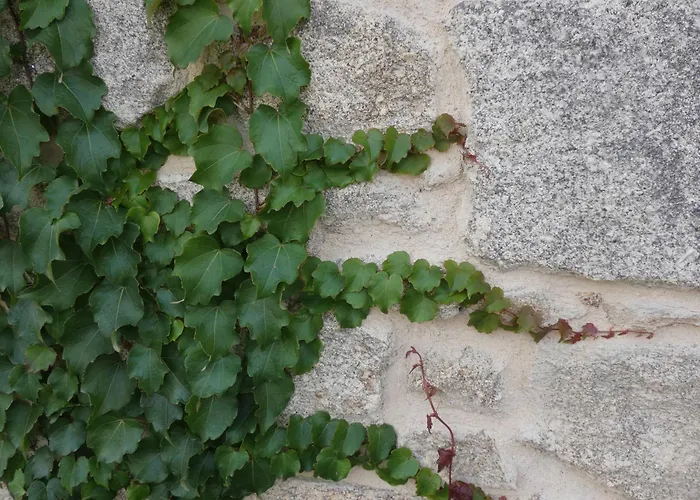 Hotel La Alcoba De Sayago 3*